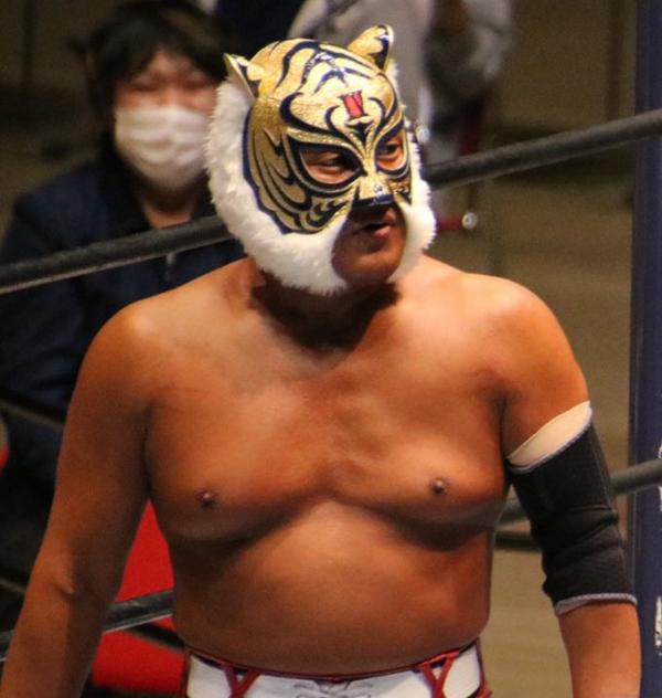 Impressionismus Vorahnung Schleppend Tiger Mask Unergr Ndlich