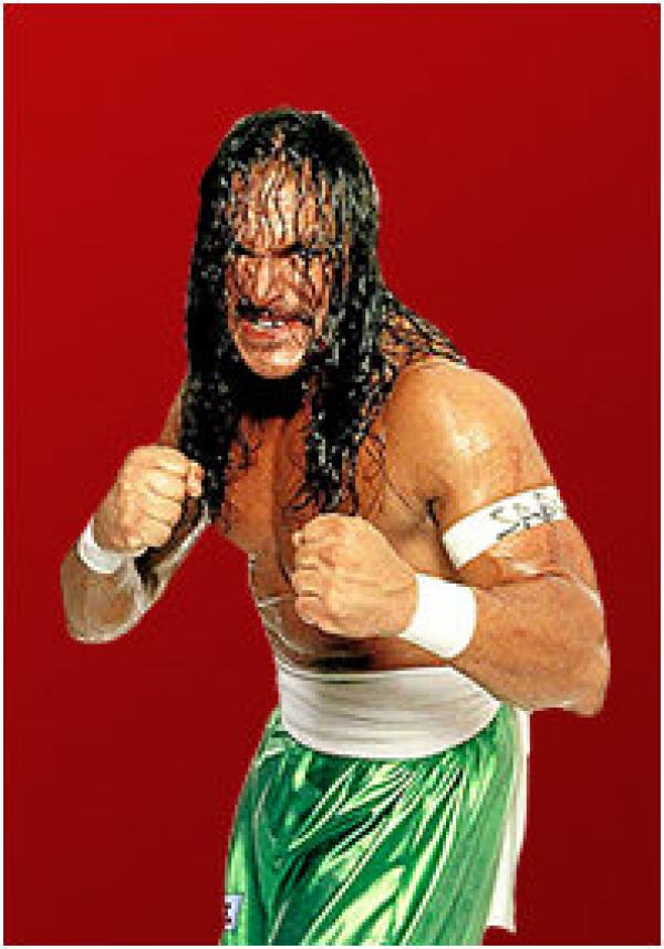 wrestling database