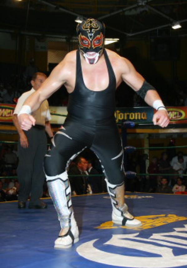 puma king wrestler